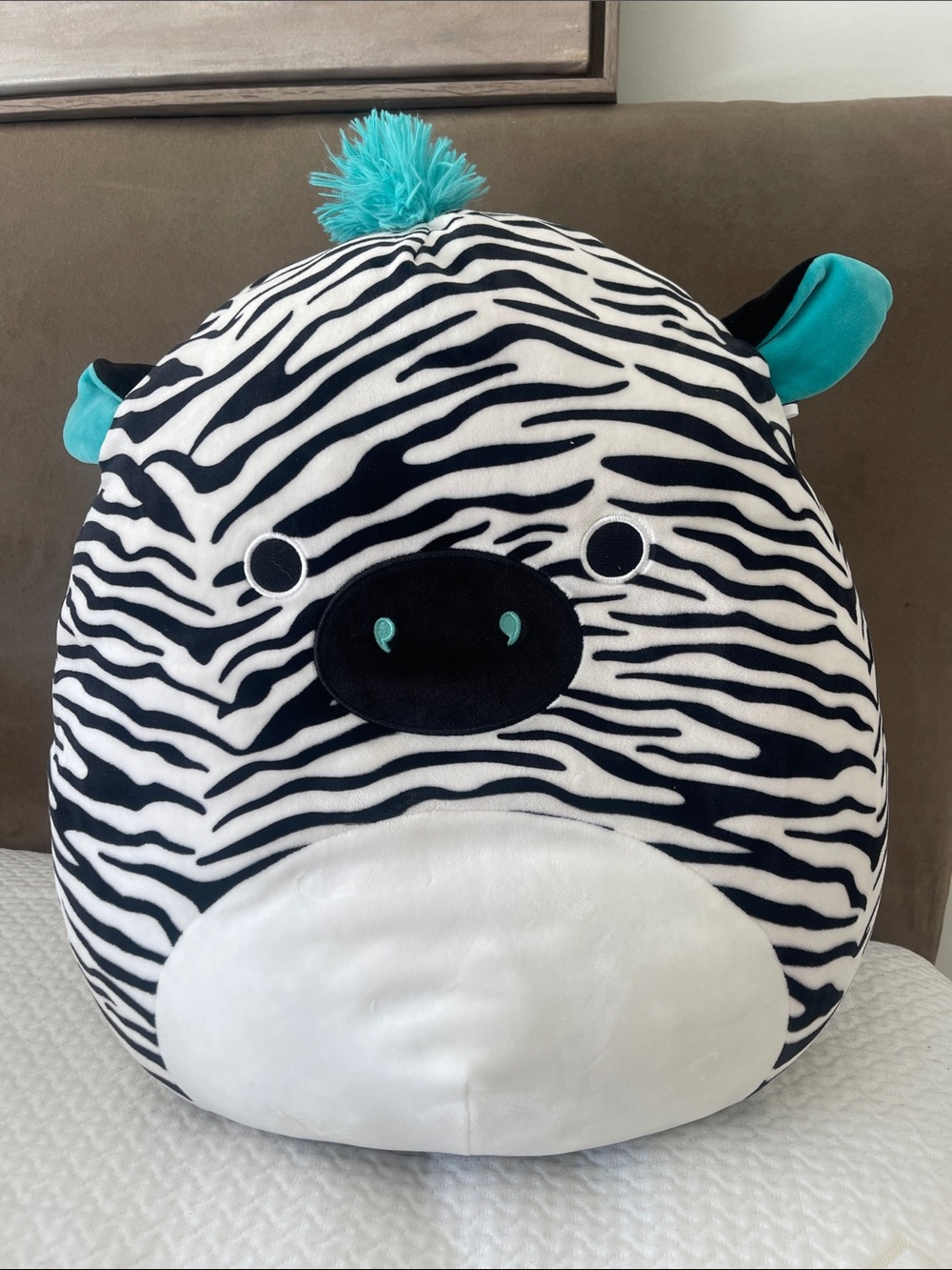 Squishmallows Zebra Plush — Black & White smoke free home